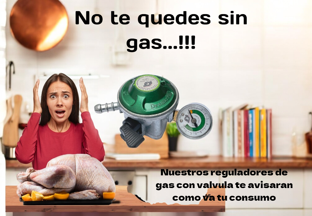 Regulador de Gas Premiun